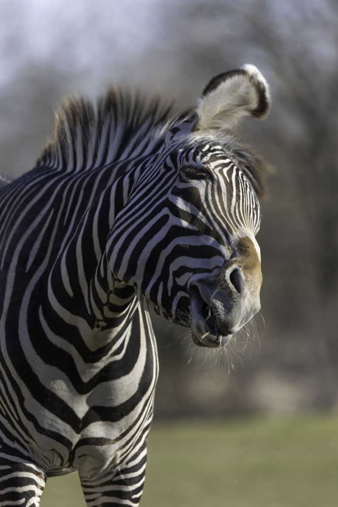 Photograph by ALI Pashang