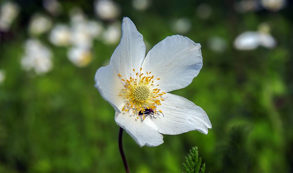 Photograph by Вадим Карпов