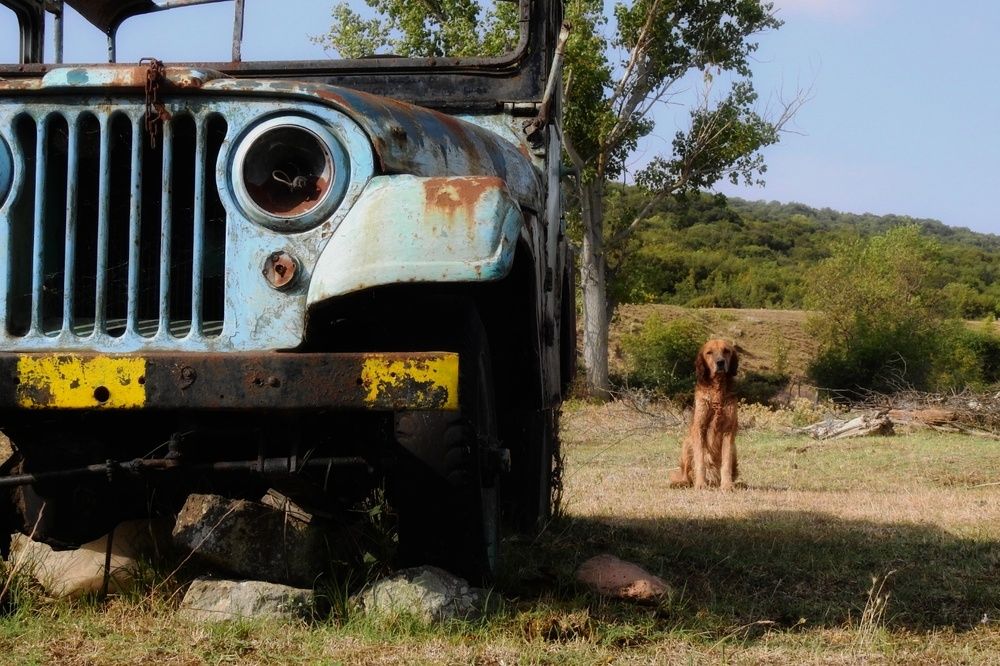 Photograph by fuat cimok