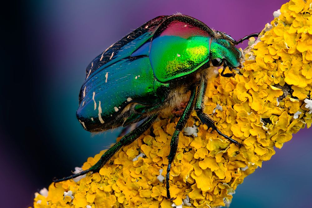 Photograph by Васильев Роман