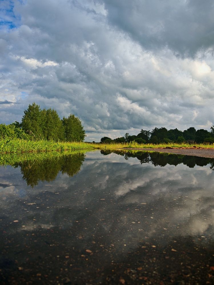 Фотография автора Юлия Шидловская