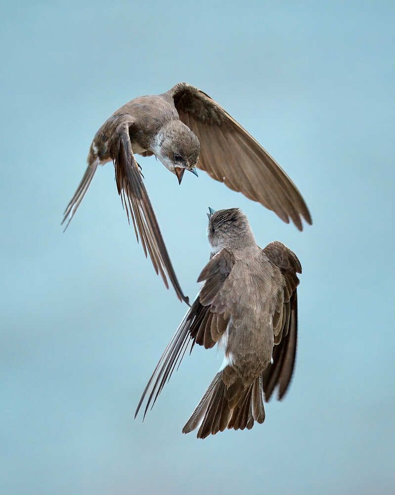 Photograph by Mikhail Khmelevskiy