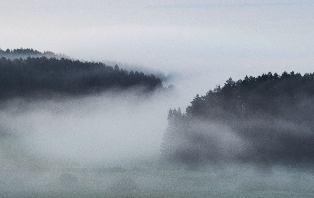 Photograph by Анатолий Вахрушев