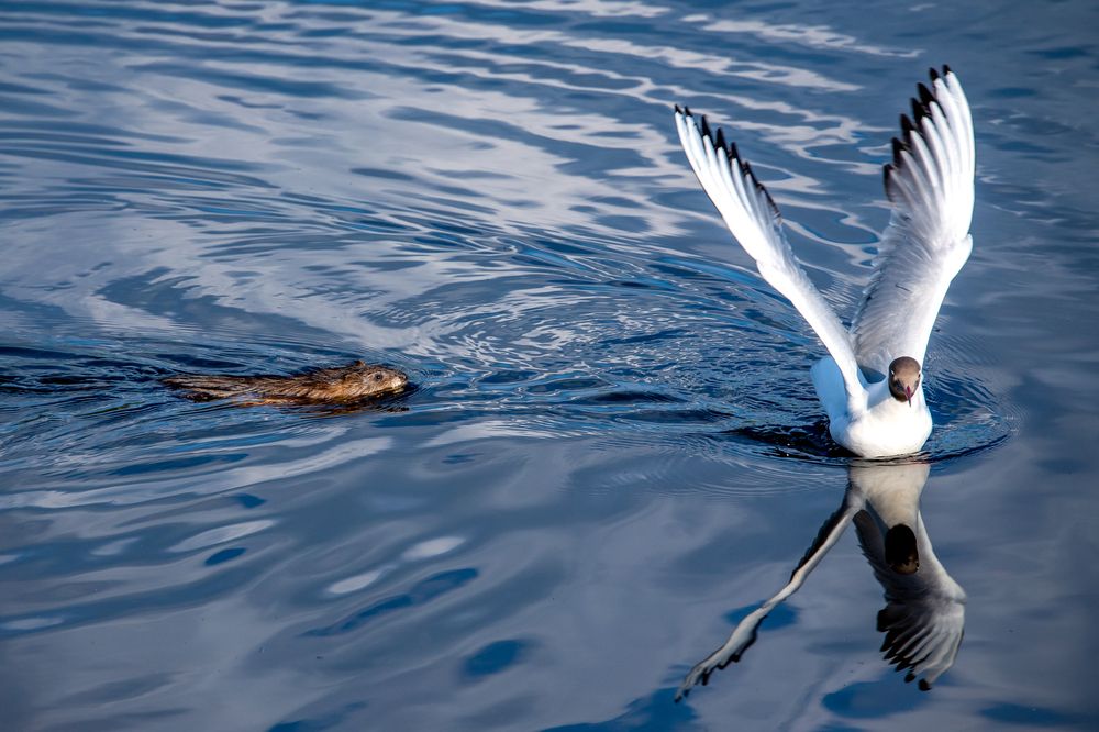 Photograph by Кадырова Марина