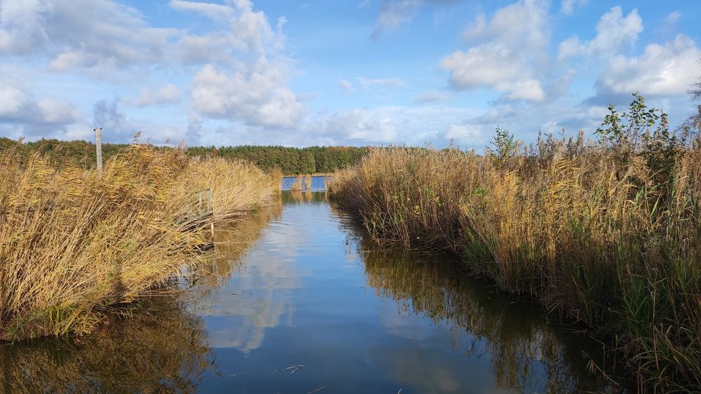 Photograph by Марийона Савоненко