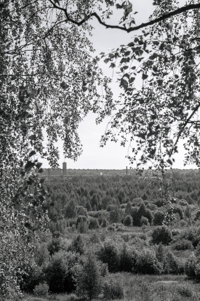 Good Morning/Доброе утро