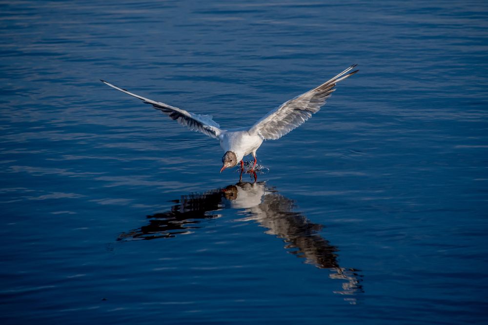 Photograph by Кадырова Марина