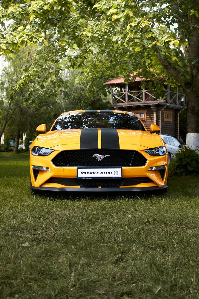 Photograph by Gleb Polianski