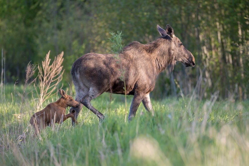 Photograph by Valerijs Bukovskis