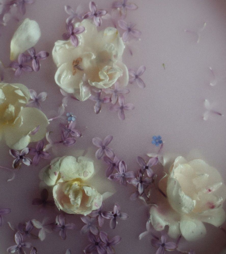 Photograph by Regina Reintam