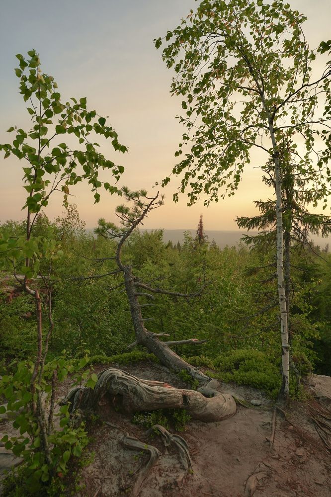 Photograph by Julia Andreeva