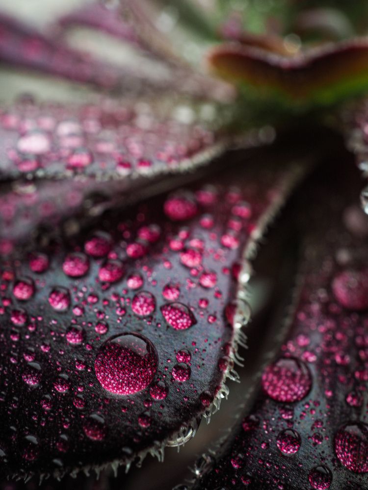 Photograph by Виталий Шмачко