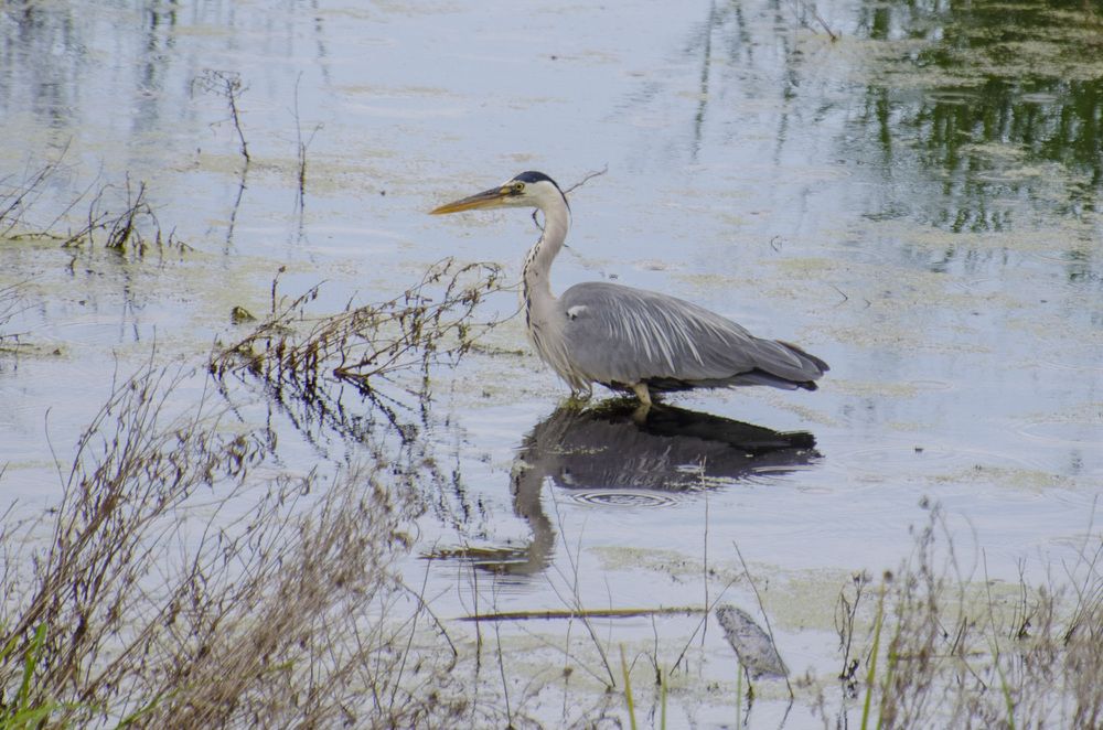 Photograph by Светлана Кудянова