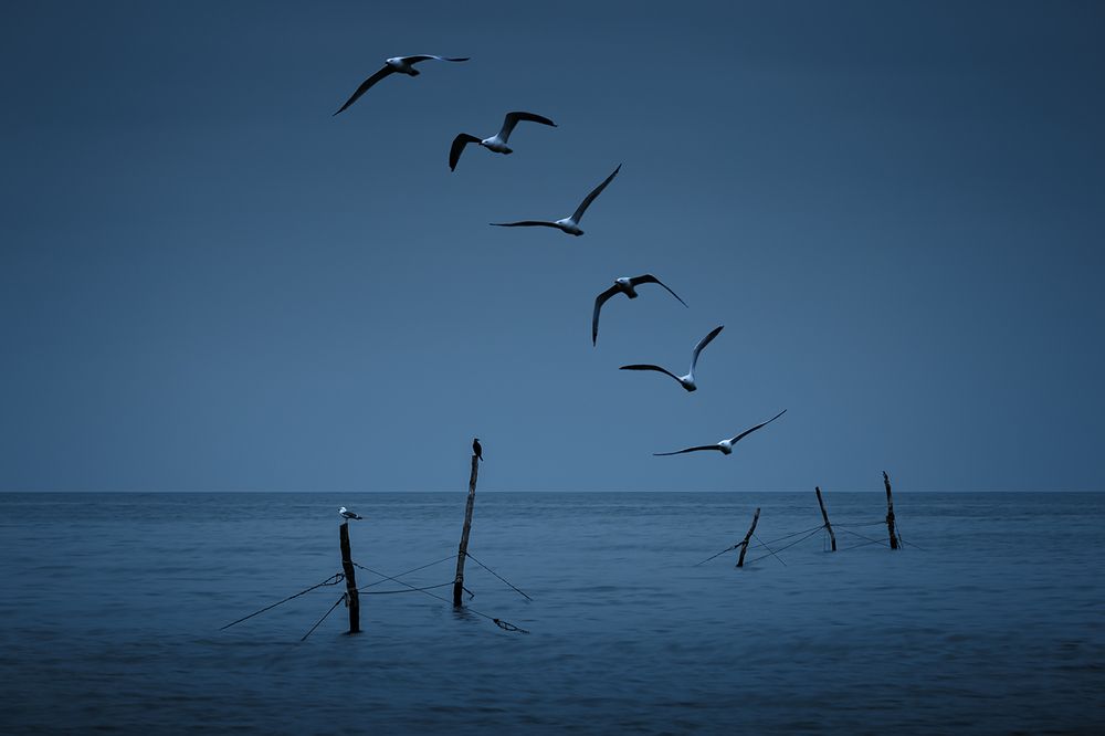 Photograph by Borislav Kostov