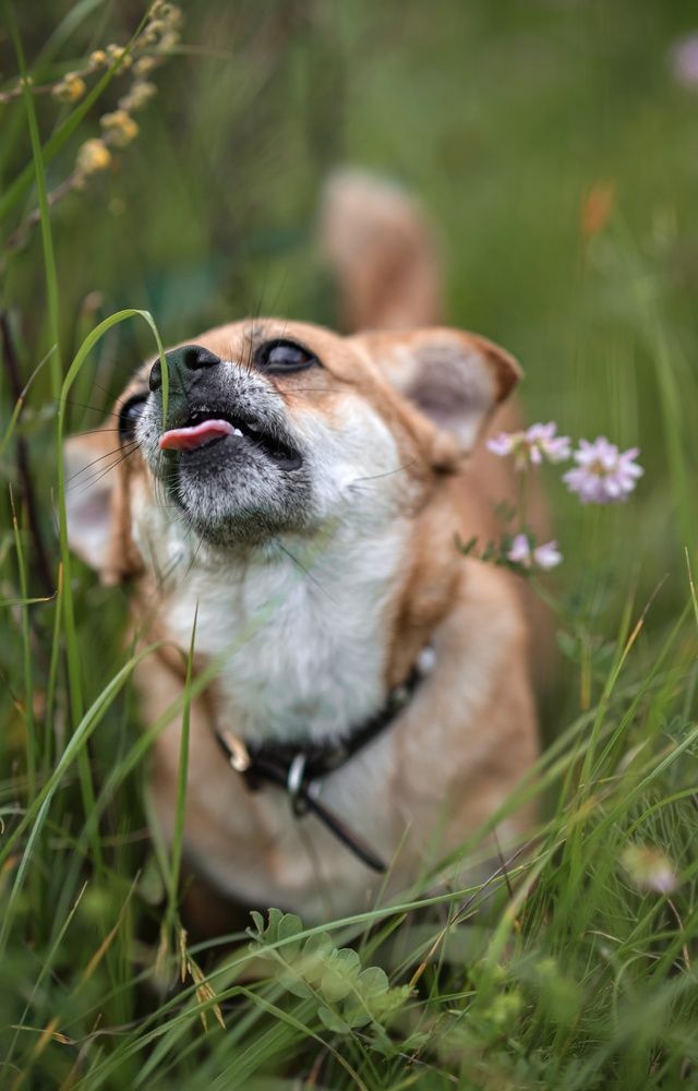 Photograph by Марина Иванова