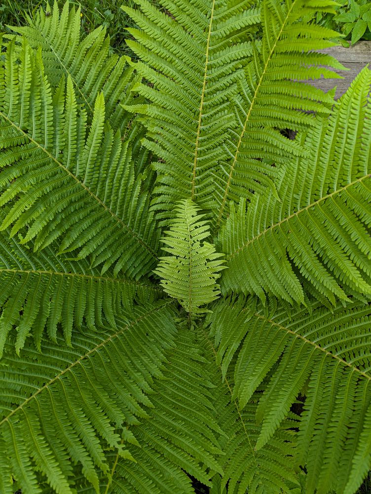 Photograph by Виктор Поверенов