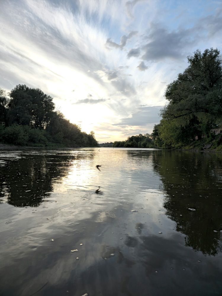Фотография автора Александр Петуховский
