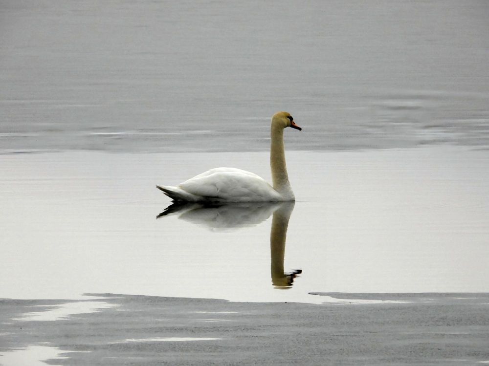 Photograph by Александр Шаварин
