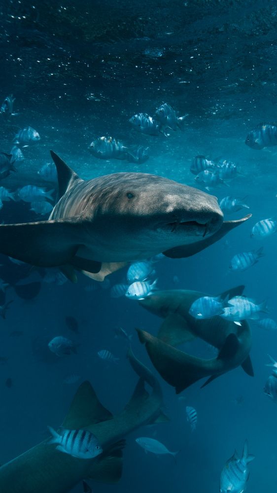 Photograph by Nicolas Marin