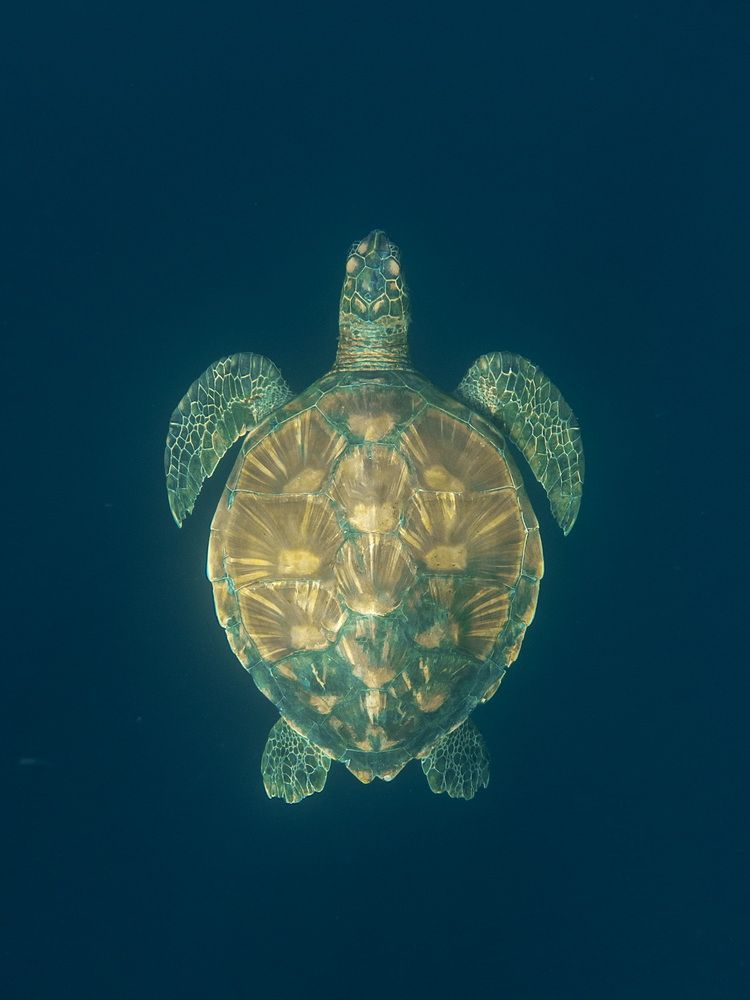 Photograph by Nicolas Marin