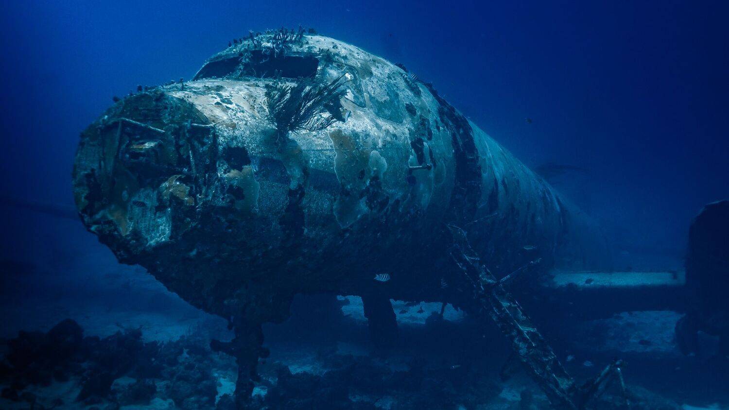 Фотография #12303018