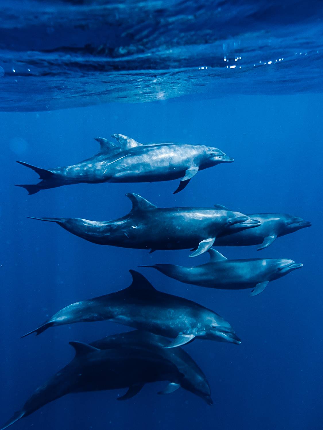 Фотография #12303043