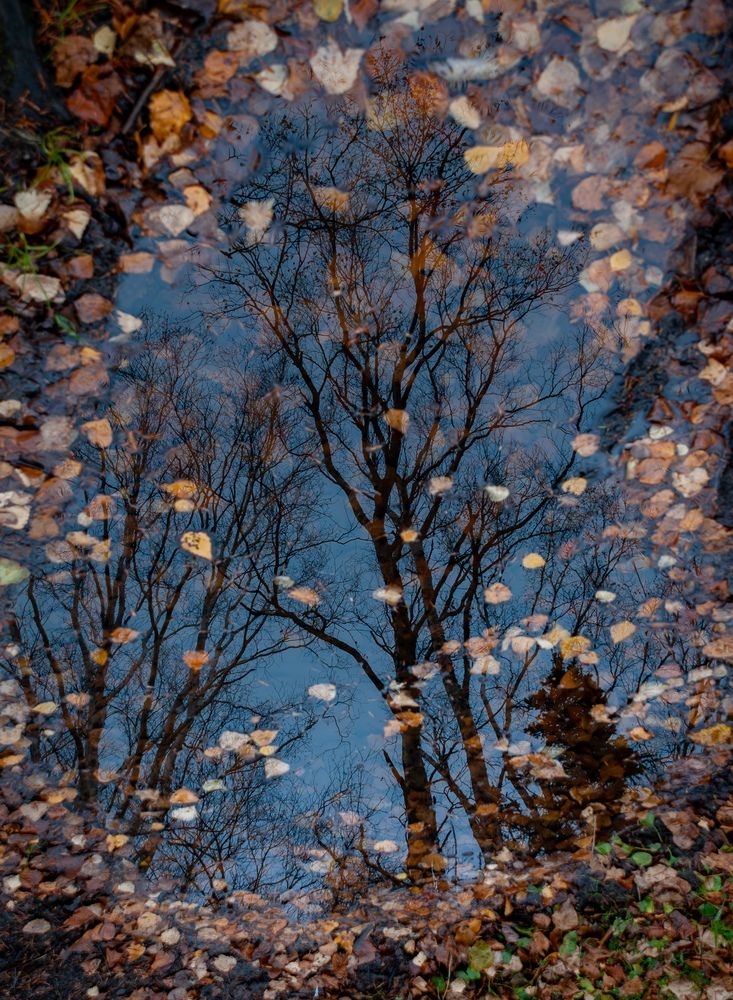 Photograph by Василиса Ногина