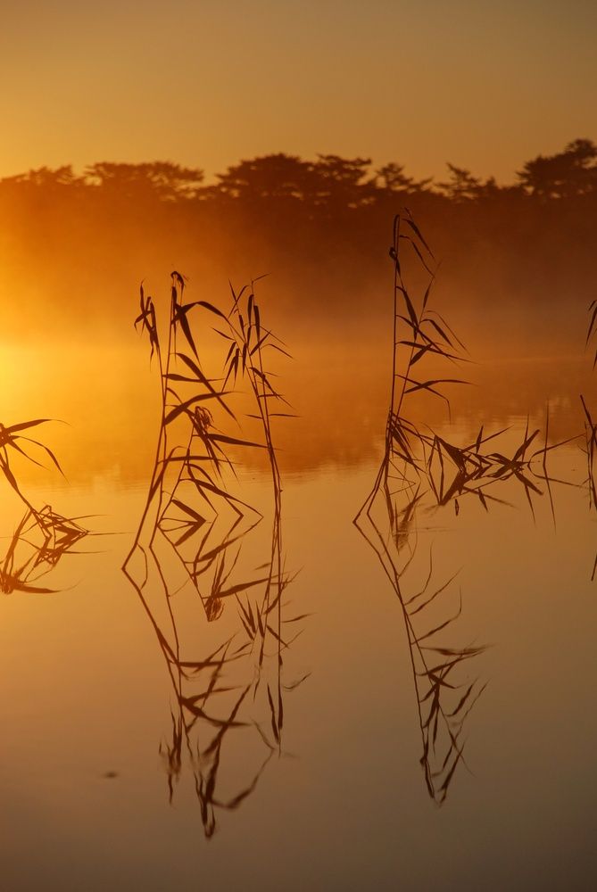 Photograph by Василиса Ногина