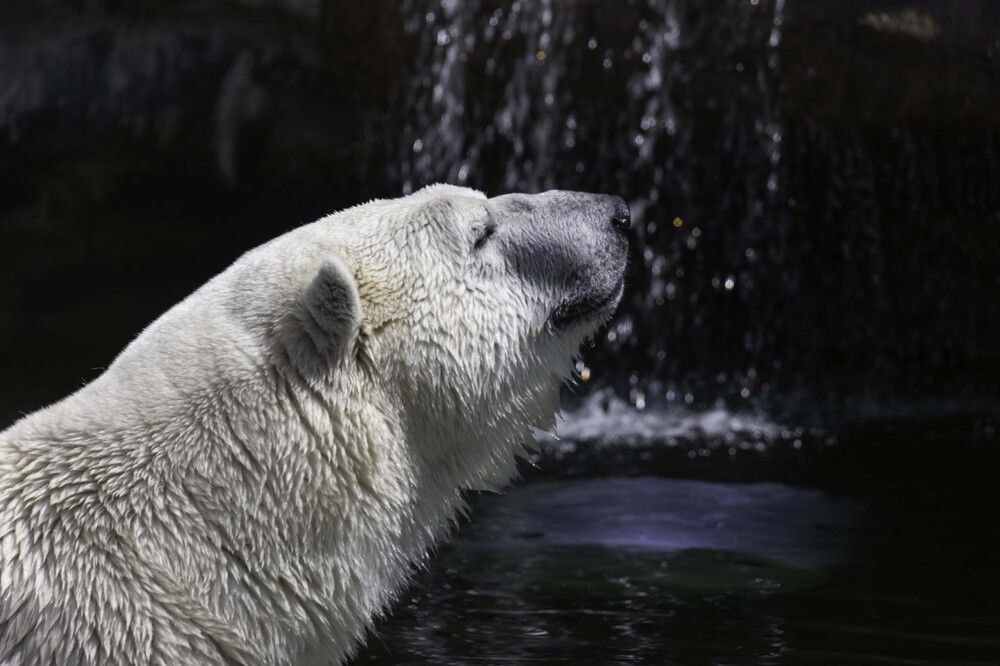 Photograph by ALI Pashang