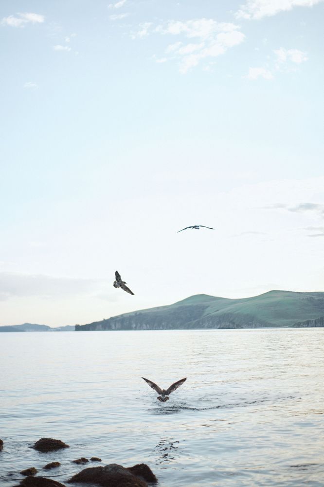 Photograph by Юлия Зозуля