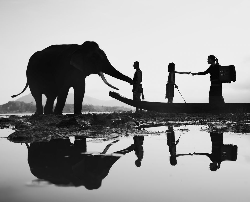 Photograph by Lê Huy Anh