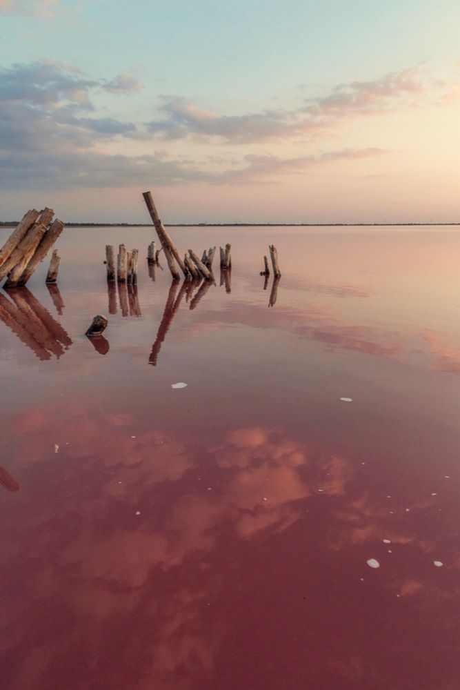 Photograph by Антонина Кузнецова