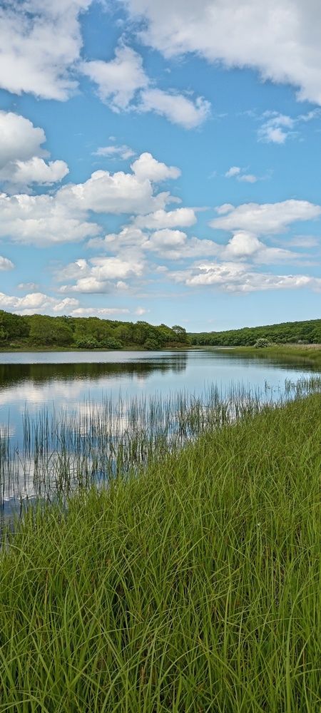 Photograph by Юлия Лихачева