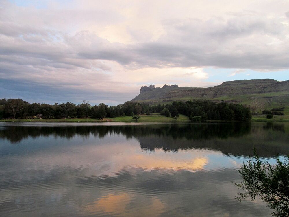 Фотография автора Nico Ebersohn