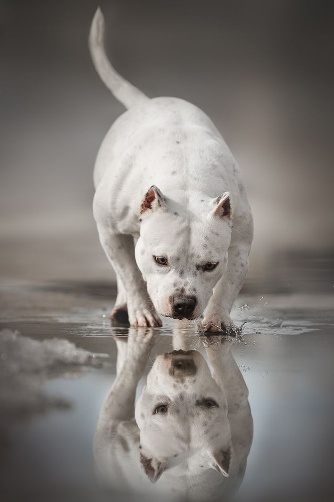 Photograph by Ольга Легенькая