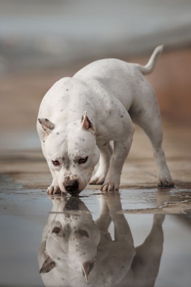 Photograph by Ольга Легенькая