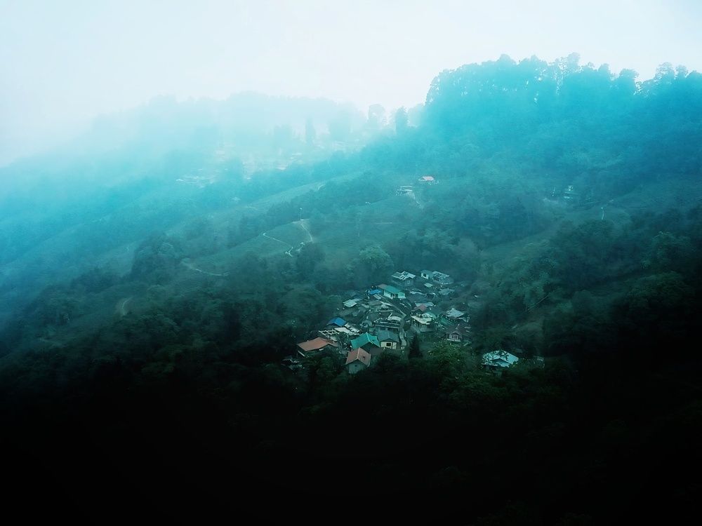 Photograph by Monami ghosh