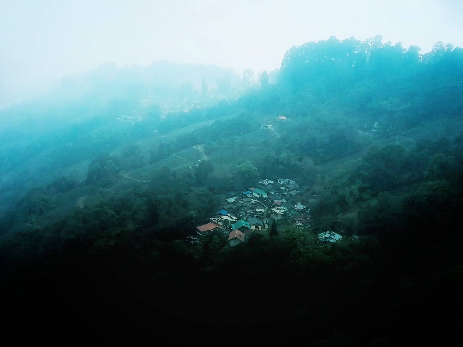 Photo #12303330