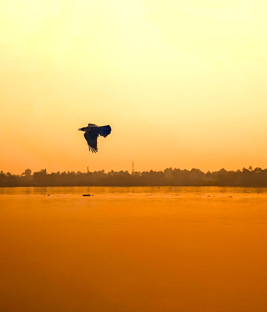Photograph by Arindam Sarkar