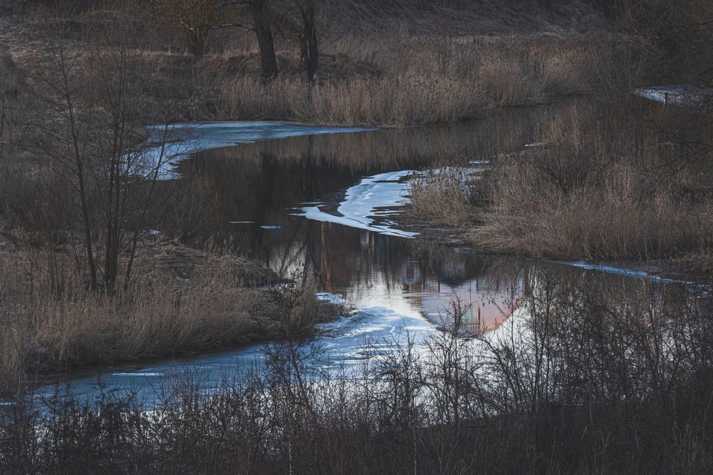 Фотография автора Ирина Гриценко