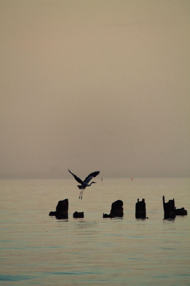 Photograph by Екатерина Иванова