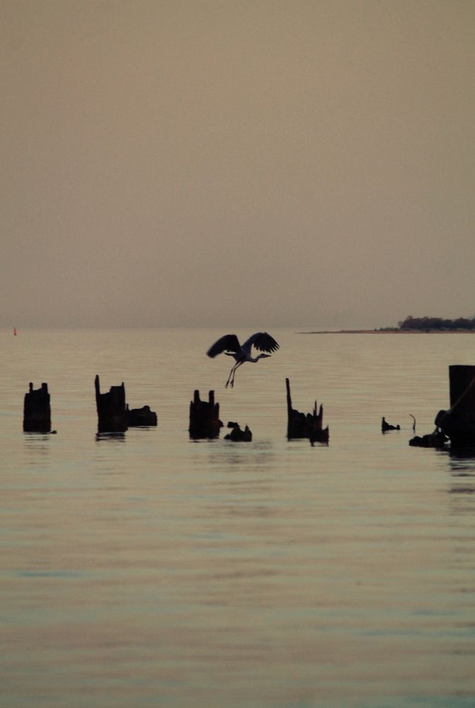 Photograph by Екатерина Иванова