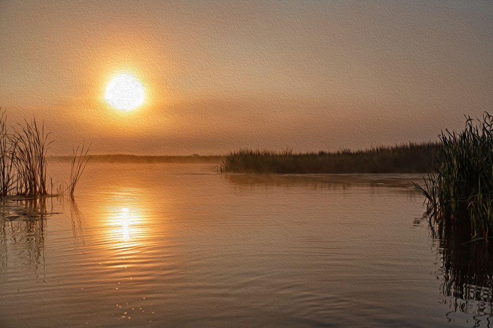 Photograph by Любовь Перевозникова