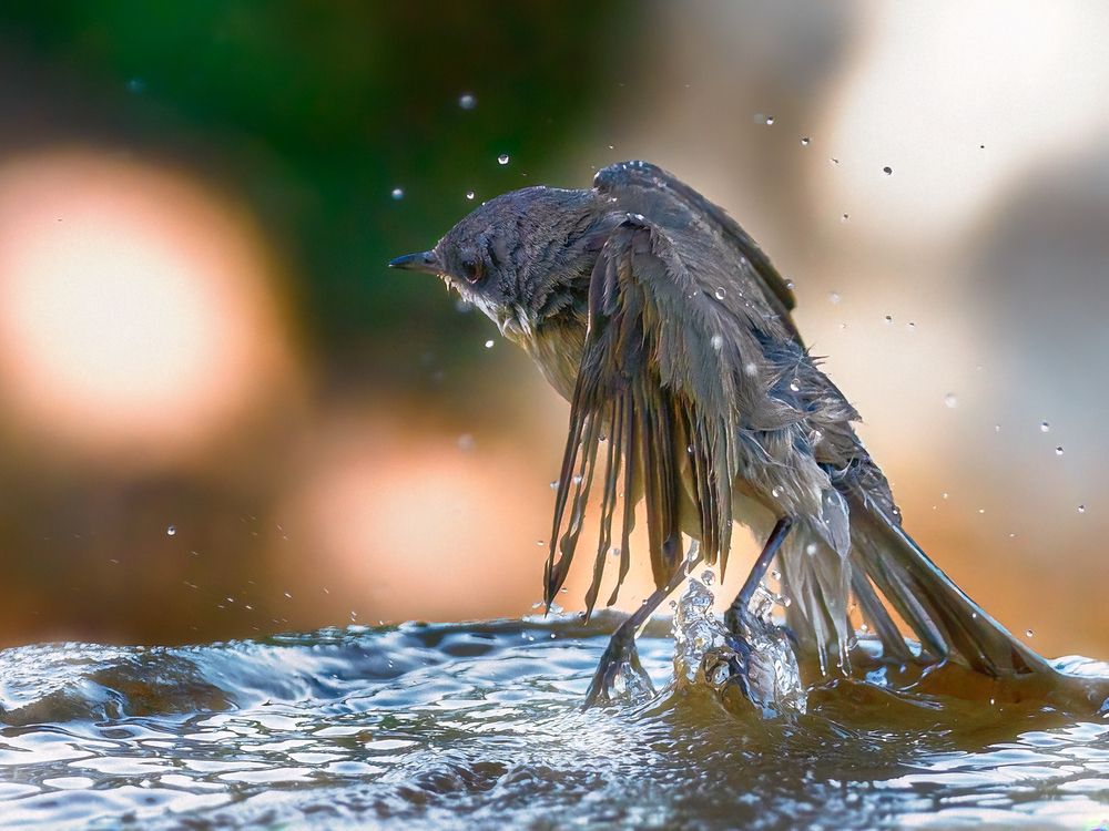 Photograph by Шварцман Евгений