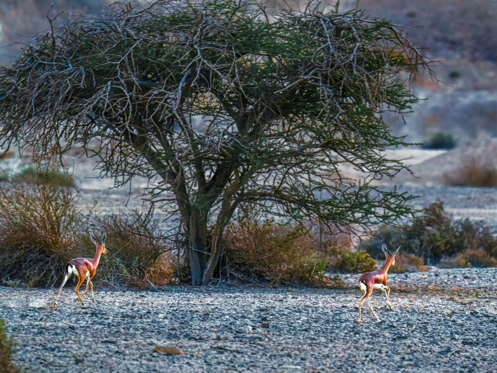 Photograph by Шварцман Евгений