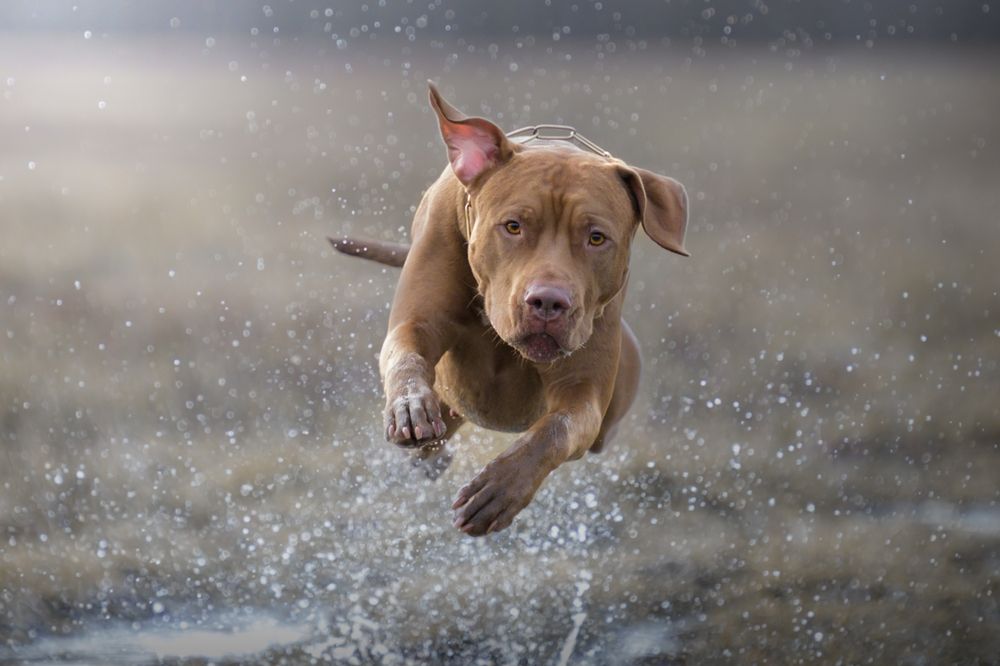 Photograph by Фабричный Роман