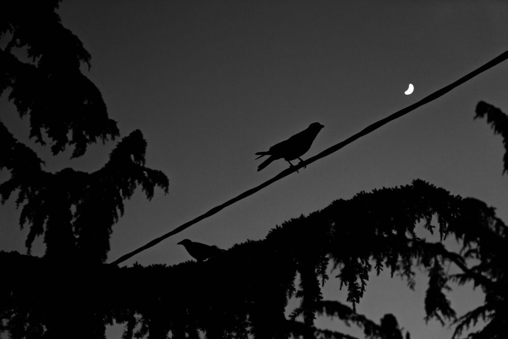 Фотография автора photovorobey