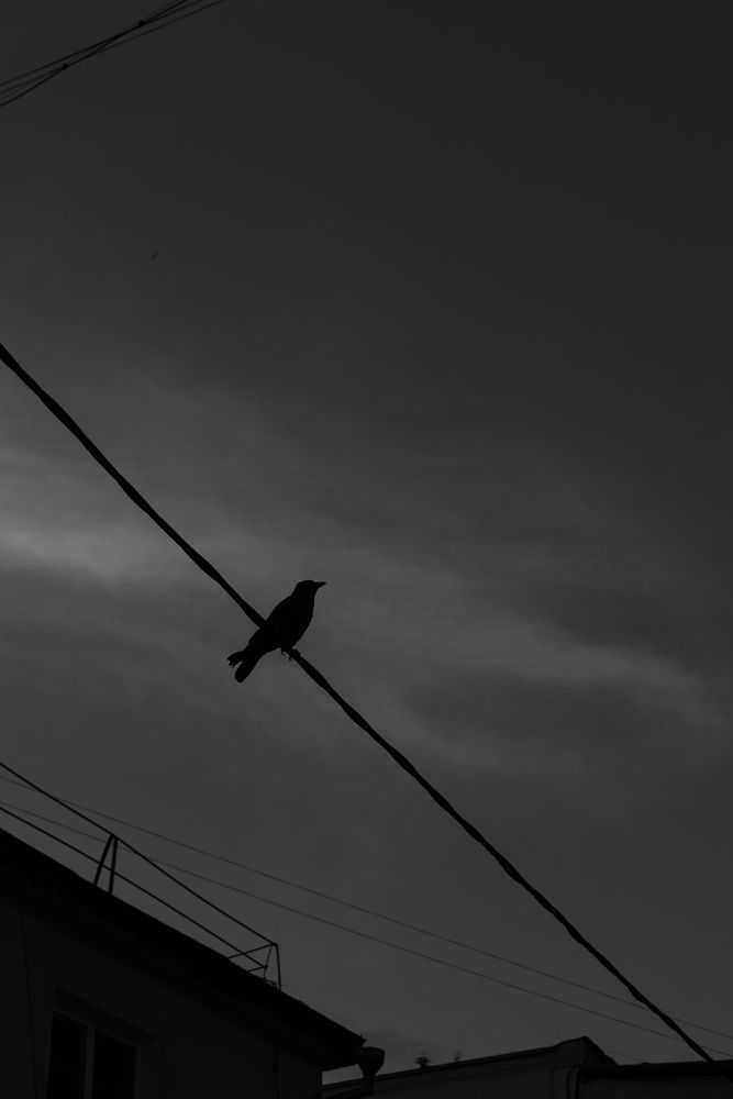 Фотография автора photovorobey