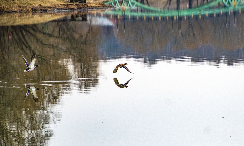 Photograph by Anna Prohorova