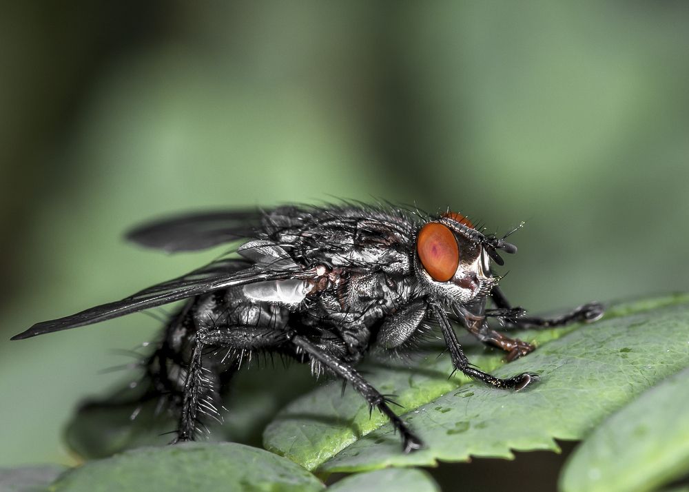 Photograph by Victor Stepanov